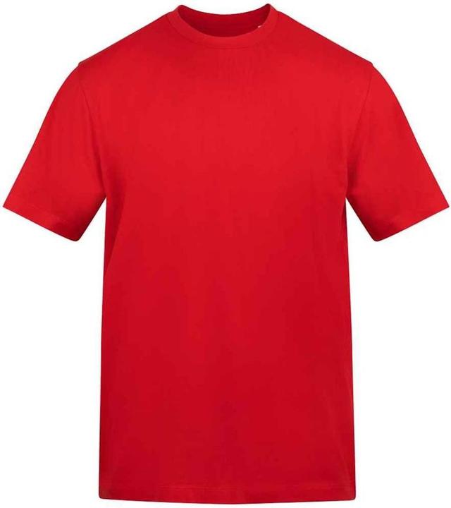 Awdis TShirt (XL)