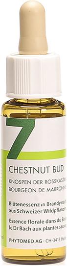 Produktbild Phytomed Bachblüten No7 Knospen der Rosskastanie (1 Stück, Tropfen, 24 g)