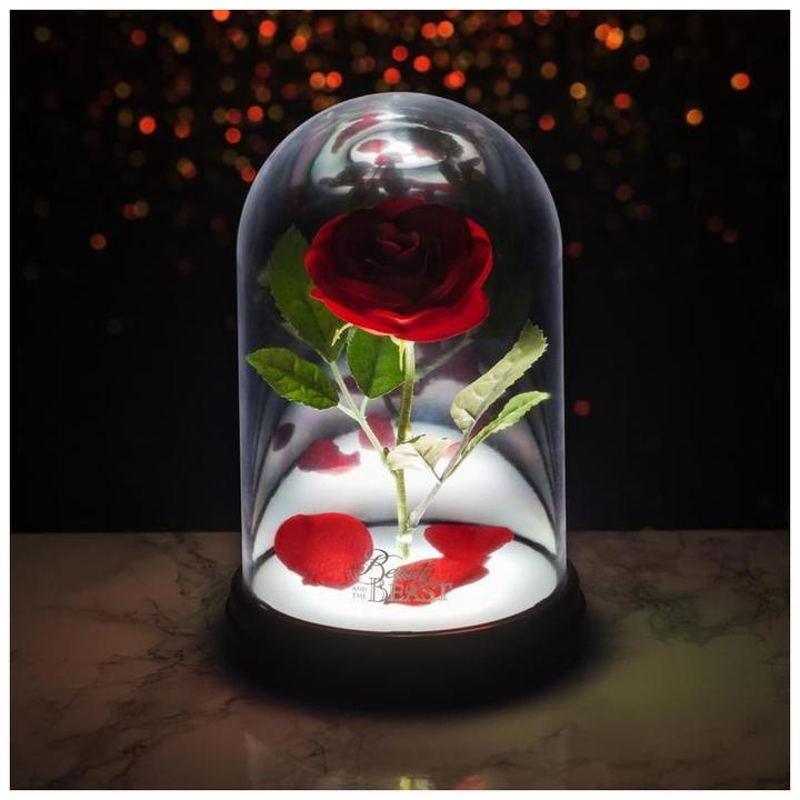 Image du produit Paladone Products Rose enchantée