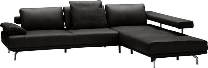 Cat. 56, Torro noir
