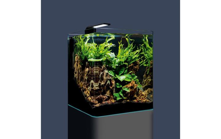 Actual product image Dennerle Aquarium Nano Cube Complete, 30 l (30 l)