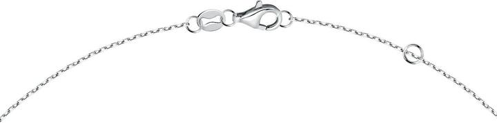 Actual product image Christ Kette (750 white gold)