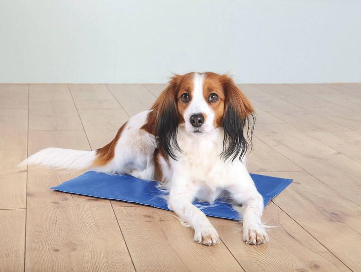 Produktbild Trixie Kühlmatte (Hund, Katze)
