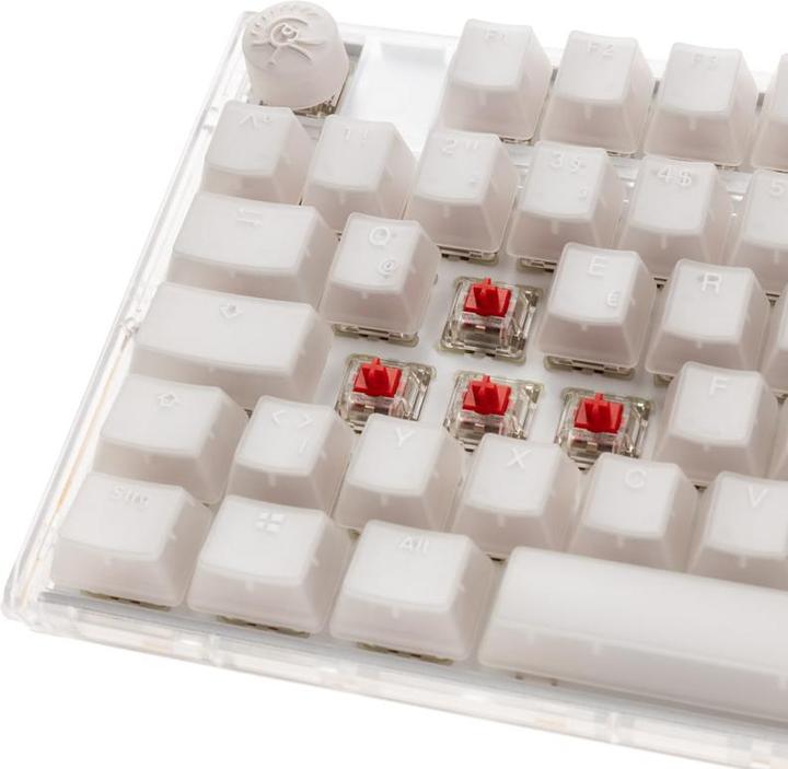 Image du produit Ducky One 3 Aura White TKL Clavier de jeu, RGB LED - MX-Red (DE, Filaire)