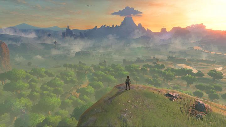 Actual product image Nintendo The Legend Of Zelda: Breath Of The Wild (Wii U, IT, FR, EN, DE)