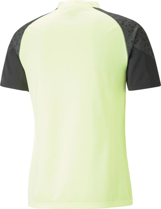 Actual product image Puma individualCUP Training Jersey (M)