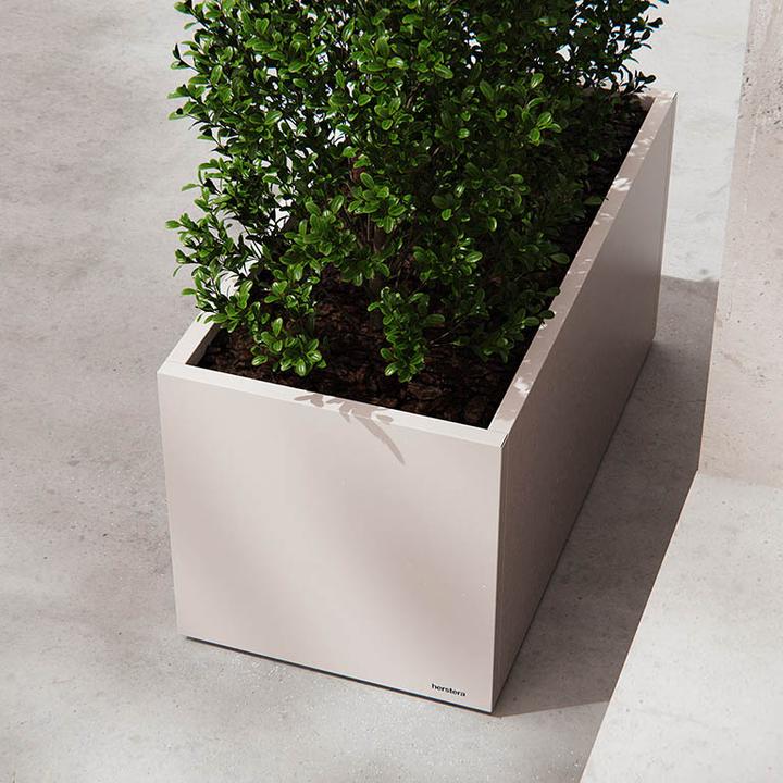 Image du produit Herstera Planter
