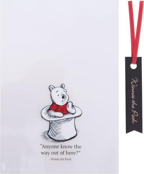 Actual product image Disney Winnie the Pooh transparent bag (6 x)