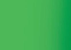 Actual product image Caran d'Ache Acrylic (Brilliant green, 250 ml)