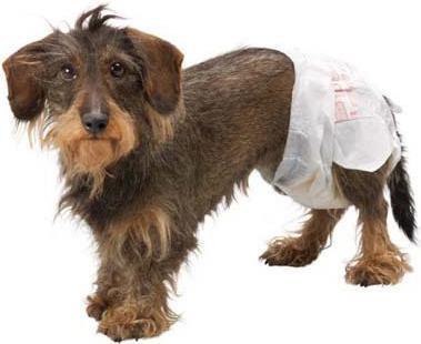 Produktbild Simple Solution Einwegwindel L (Hund)