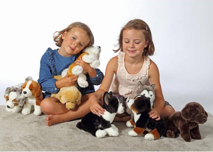 Produktbild Gipsy Australischer Schäferhund (25 cm)