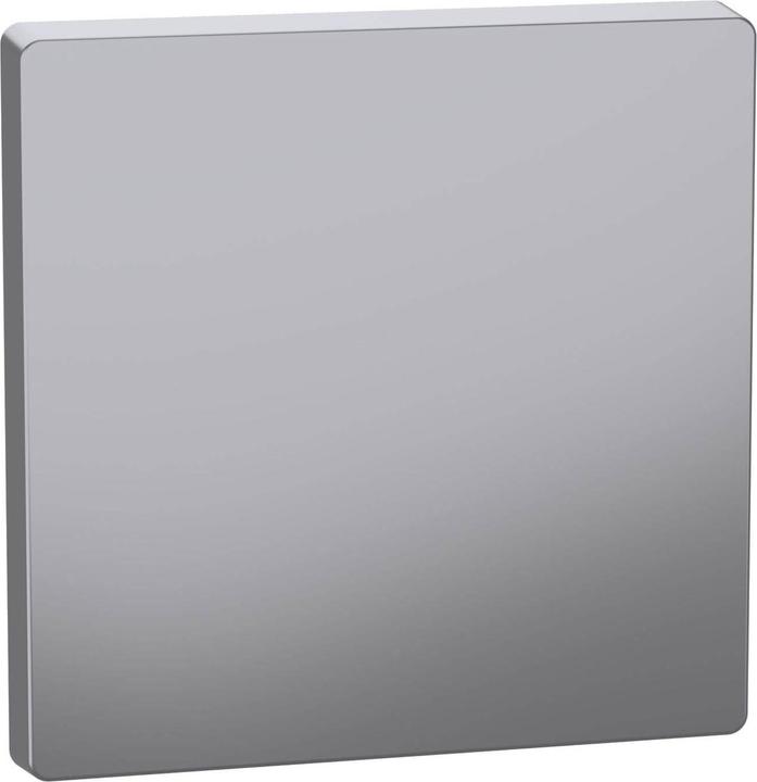 Merten MEG3300-6036. Produktfarbe: Edelstahl, Markenkompatibilität:, Material: Thermoplast