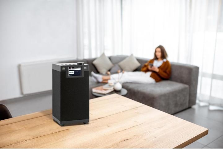 Immagine prodotto Imperial Dabman i610 (DAB, Web radio, FM, VHF, Bluetooth, WiFi)