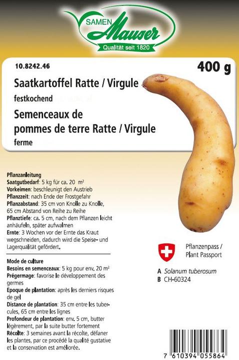 Image du produit Samen Mauser Rat/Virgule (Graines de légumes)