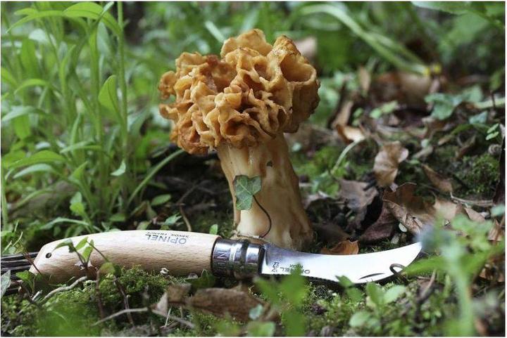 Produktbild Opinel Nr. 8 (7 cm)