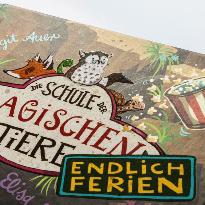 Produktbild Die Schule der magischen Tiere. Endlich Ferien 9: Elisa und Silber (Deutsch, Nina Dulleck, Igor Dolinger, Margit Auer, 2024)