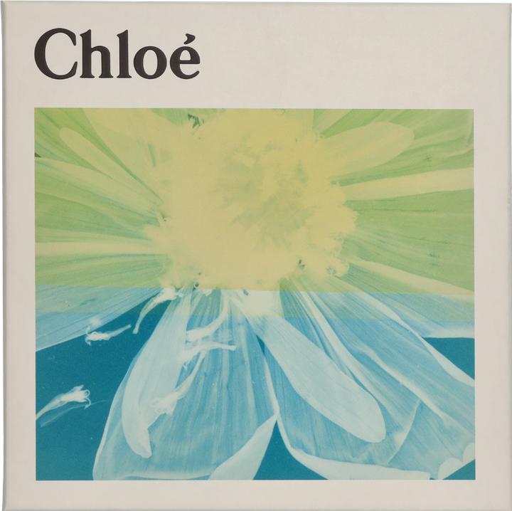Immagine prodotto Chloé Nomade
