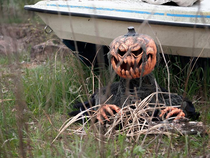 Actual product image Europalms Halloween pumpkin monster