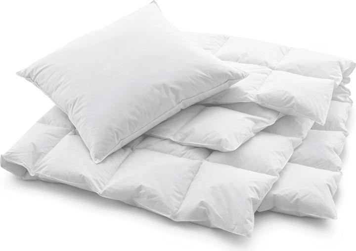 Produktbild Swiss Dream by billerbeck Soft Pillow Basic 80 (50 x 70 cm)