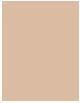 Actual product image Estée Lauder Double Wear Stay-in-Place Makeup SPF (1C0 Shell)