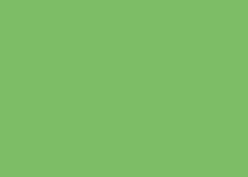 Image du produit Clairefontaine Trophée (160 g/m², 250 x, A4)