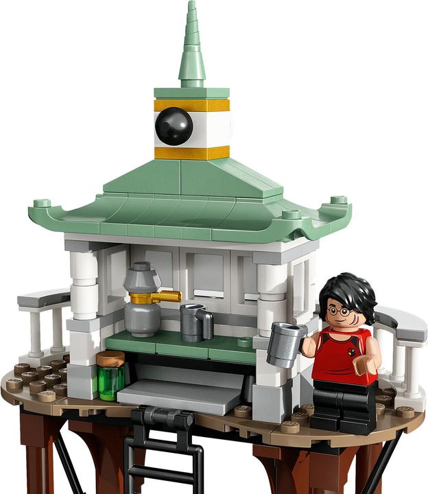 Actual product image LEGO Triwizard Tournament: The Black Lake (76420, LEGO Harry Potter)