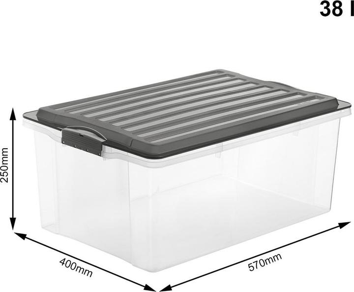 Image du produit Rotho Compact (57 x 40 x 25 cm, 38 l)