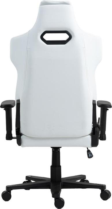 Actual product image Itek SHUTTLE PM66