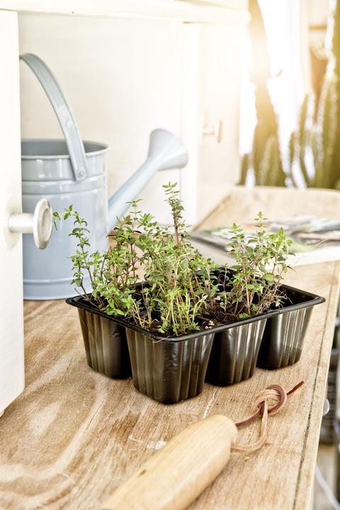 Actual product image Windhager Pot Plates