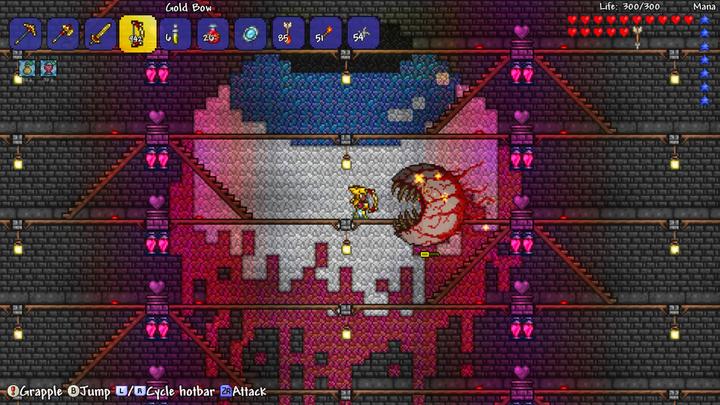 Actual product image 505 Games Terraria (Switch, Multilingual)