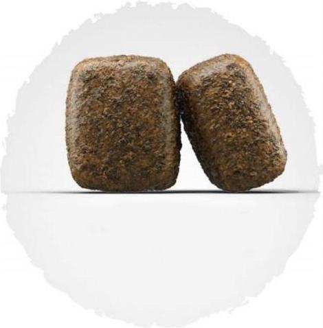 Actual product image Josera Nature Energetic (Adult, 1 pcs., 900 g)
