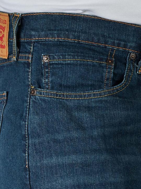 Actual product image Levis 10012861 (W44/L34)