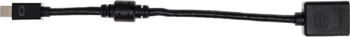 Produktbild Delock Mini DP zu (DP, 21 cm)