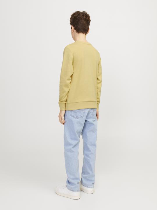 Immagine prodotto Jack & Jones Felpa stampata con collo rotondo Per i ragazzi Felpa con collo rotondo (176)