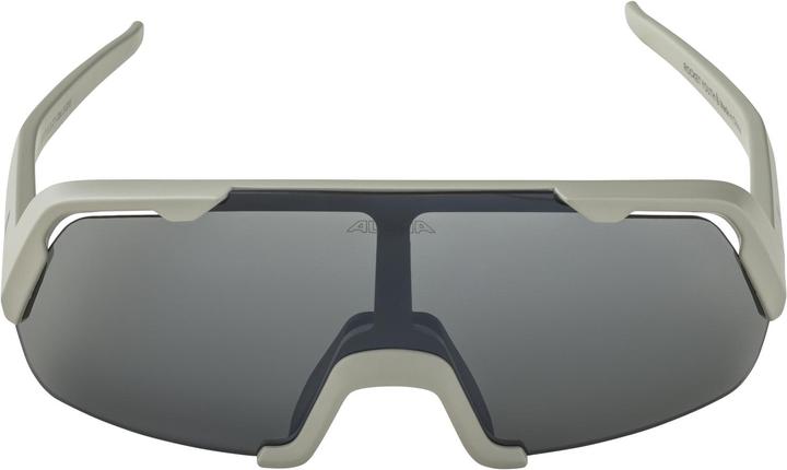 Immagine prodotto ALPINA SPORTS Rocket Youth (Grigio freddo opaco, Argento)