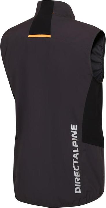 Actual product image Directalpine Element 1.0, Weste, Herren (Athletic Fit) - Direct Alpine, 300 (M)