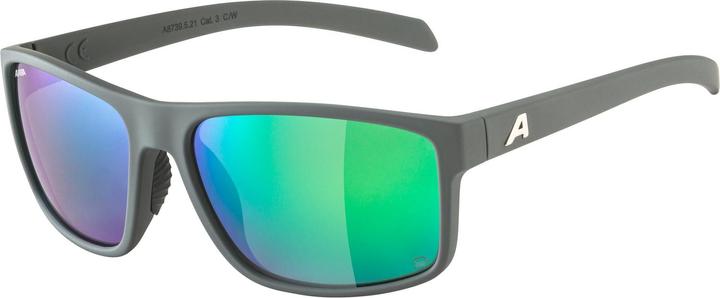 Actual product image ALPINA SPORTS Nacan I Pole
