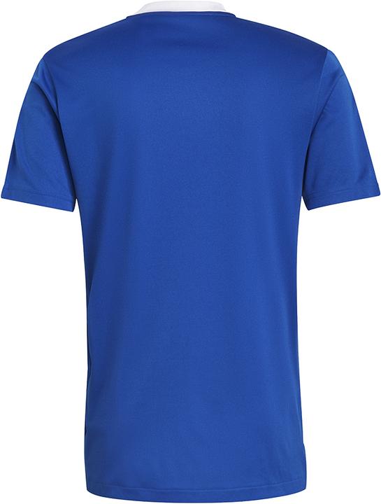 Produktbild adidas Tiro 21 Trainingstrikot (S)