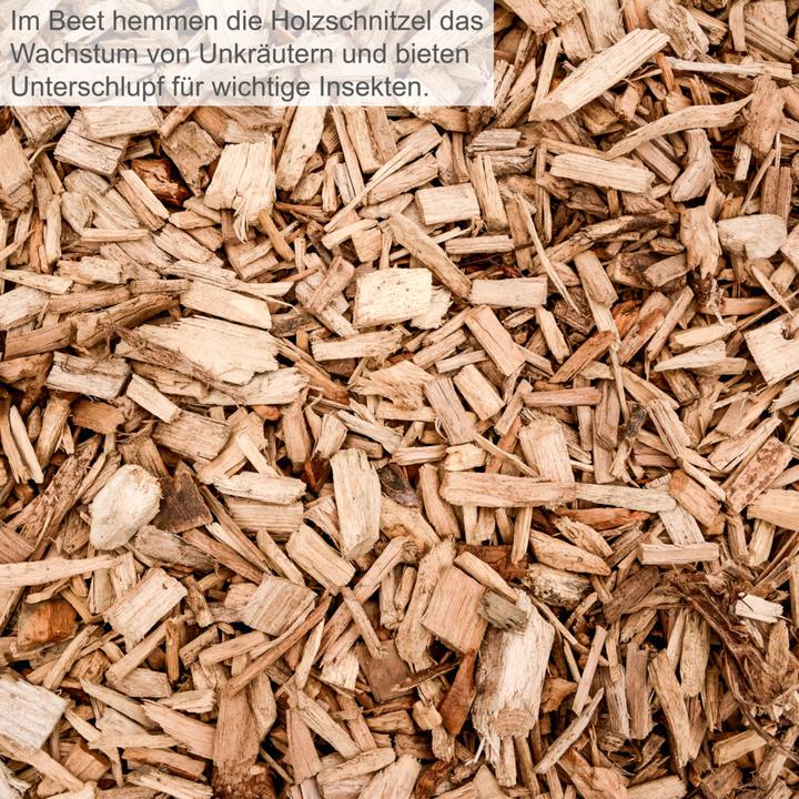 Actual product image Scheppach Electric branch shredder GS60