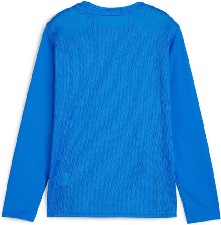 Immagine prodotto Puma Maglia TeamGOAL LS Jr (152)