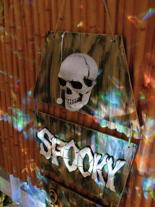 Actual product image Europalms Halloween ghost coffin, animated 150cm