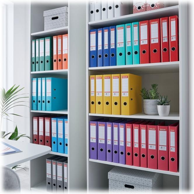 Image du produit Esselte Classeur plastique (A4, 75 mm, 1 pièce(s))