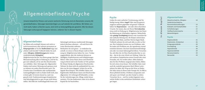 Produktbild Schüssler-Salze, Quickfinder (Deutsch, Günther H. Heepen, 2018)
