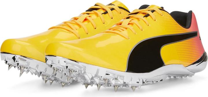 Produktbild Puma evoSPEED Electric 13 (44.5)