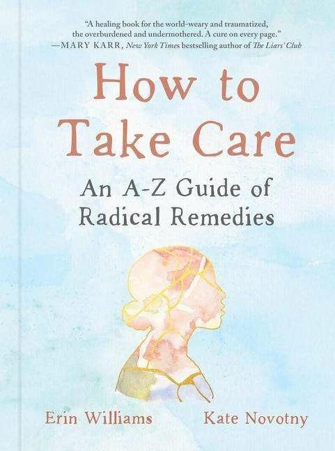 Produktbild How to Take Care (Englisch, Erin Williams, Kate Novotny, 2022)