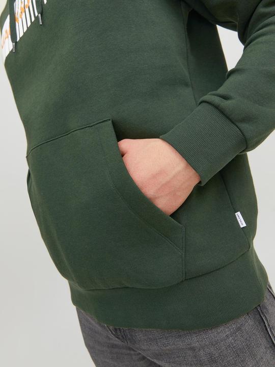 Immagine prodotto Jack & Jones Logo Hoodie (XS)