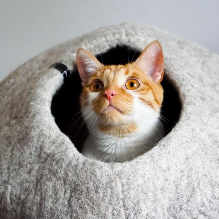 Immagine prodotto LucyBalu PEBBLE KatzenhÃ¶hle aus Filz (Gatto)