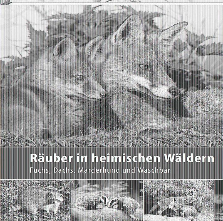 Actual product image Räuber in heimischen Wäldern (German, Klaus Borrmann, 2013)