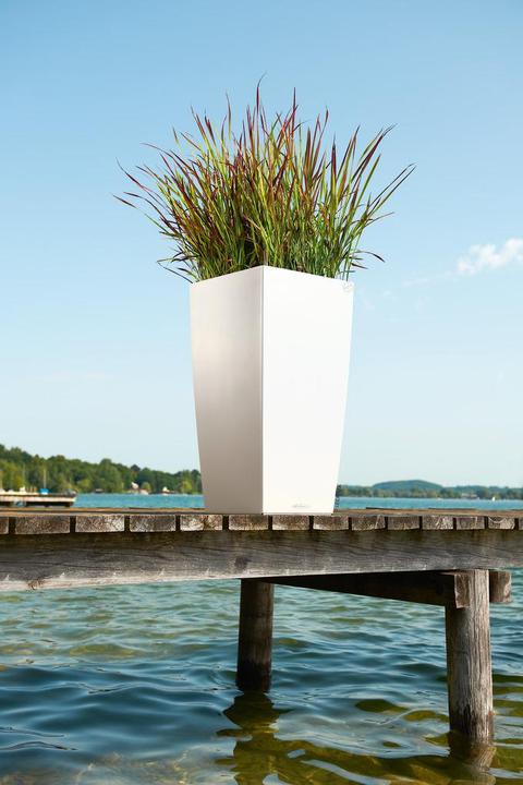 Actual product image Lechuza Cubico Color (39.50 cm)