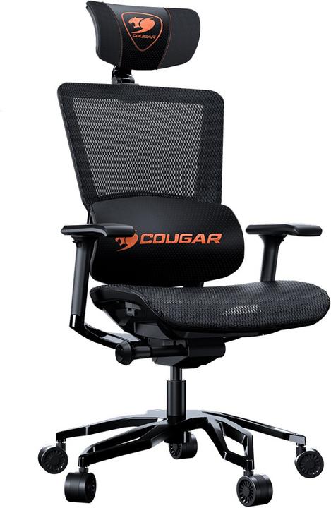 Actual product image Cougar Argo